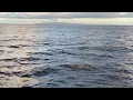 Yacht Rock DJ Mix - Hour Long Mix - DJ Nicholas