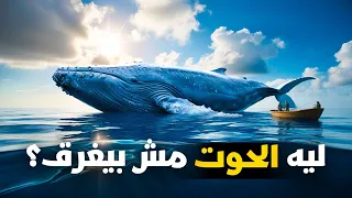 ليه الحوت الأزرق مش بيغرق  السر وراء أضخم كائن على وجه الأرض  دندنها