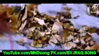 علي العيساوي خلص روحي  علي العيساوي خلص روحي