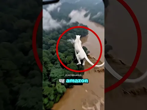 Top 5 Deadliest Animals in the Amazon 💀 #shorts