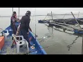 Download Lagu 20/06/2025 Trip Mancing at Sangkar Sungai Udang Penang