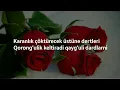 Download Lagu Grup Roj - Duydum ki bensiz yarali gibisin (Karaoke+)