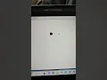 panda Drawing with python Turtle programming coding