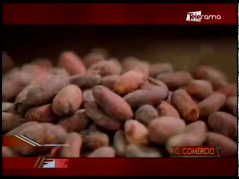 Pro Ecuador e IBCE buscan fortalecer el comercio Acuerdo Marco de Cooperación