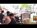 Download Lagu Paneer tikka Raj Kachori 🔥 Agarwal Caterers Sweet Shop Restaurant Jaipur