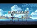 Priscilla Abby蔡恩雨-不要让我太喜欢你 Don't Make Me Like You Too Much (Bu Yao Rang Wo Tai Xi Huan Ni) 歌词拼音