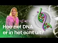 Download Lagu Wat is DNA? | Het Klokhuis