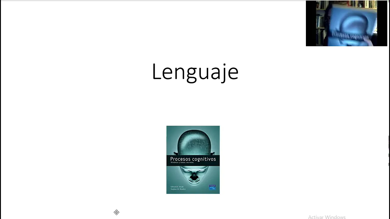 Lenguaje: comprensión y producción. Texto Procesos Cognitivos.