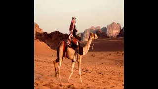 اغنية عشق الشيوخ حالات واتس اب ريمكس 