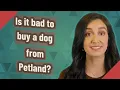 Is it bad to buy a dog from Petland