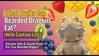 WARNING 3 Fruits TOXIC to Bearded Dragons Plus 7 SAFE Options They ll Love