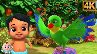 Main Tota Main Tota, मैं तोता मैं तोता, Ek Mota Hathi + Nursery Rhymes and Children Cartoon Songs