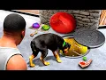 Download Lagu I Found a SECRET TUNNEL Under CHOP'S BED in GTA 5!