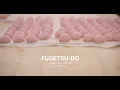 FUGETSU-DO a short documentary
