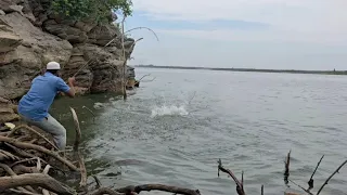 🎣 WAIT FOR THE BIG ROHU REVEAL!"THIS CATCH WAS TOTALLY UNEXPECTED "SINGLE HOOK FISHING TECHNIQUE 🌿"