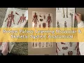Review Palace Learning Muscular Skeletal System Anatomical Poster Set - LAMINATED 2 Chart Set