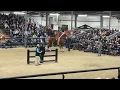 100 000 Belgian Mare Topeka Draft Horse Sale