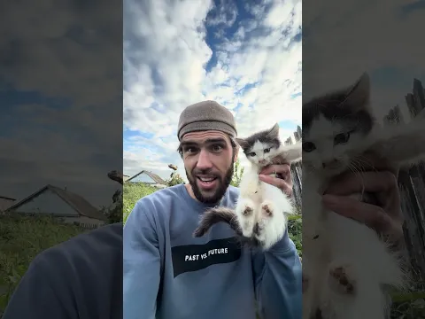 Подкинули котят! Это только начало истории, вторая часть еще интересней
