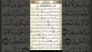 ماهر المعيقلي سورة الحجر مكتوبة صفحة 262 مصحف المدينة المنورة جودة عالية 