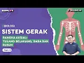 Download Lagu Materi Biologi: Sistem Gerak | Rangka Aksial: Tulang Belakang, Dada \u0026 Rusuk | Part 4
