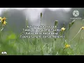 Download Lagu SAFURA \u0026 ONE - JANGAN MENANGIS SAYANG (LIRIK)