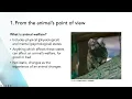 MVS Seminar Series Advancing the Interests of Animals by Dr Bidda Jones
