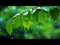 자연의 파동으로 마음을 치유하는 힐링 명상음악 🌿 요가·명상·휴식·스파용 BGM