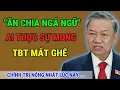 Lagu Ai thực sự mong Tô Tổng mất ghế ?