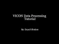 VICON Lower Body Processing Tutorial