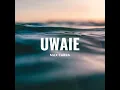 UWAIE (versión cumbia) - Max Carra