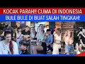 Lagu Kocak Parah!! Cuma Di Indonesia Bule Bule Di Buat Salah Tingkah!