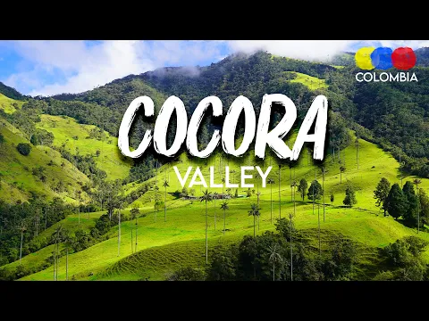 Cocora Valley Tour | Coffee Region Colombia