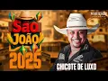 Download Lagu CHICOTE DE LUXO REPERTÓRIO SÃO JOÃO  2025
