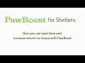 PawBoost For Shelters