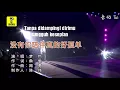 Lagu Mei you ni pei pan zhen te hao gu dan
