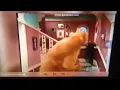 Bear in the big blue house Lost Things