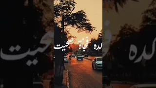 دا انا كنت بنام من غير أحلام دندنها