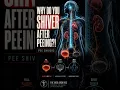 Why Do You Shiver After Peeing The Science Behind Pee Shivers
