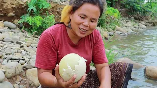 Download survival in the rainforest-women found 5 ostrich egg for cook -Eating delicious HD MP3