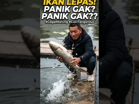 IKANNYA LEPAS! PANIK GAK? PANIK GAK LAH, MASA NGGAK?! 🐟😱 | #shorts #funny #fishing #mancing