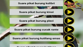  cara downlod semua mp3 pikat burung terbaru