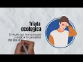 What is the ECOLOGICAL TRIAD Agent/Host/Environment NURSING/MEDICINE