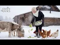 Lagu Young Woman Surviving Alone in the Taiga | Life and Cooking at –71°C