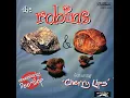 Since I First Met You - The Robins