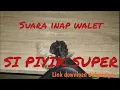 Download Lagu suara inap walet || SI Piyik Super
