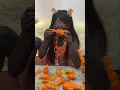 This Art Is Made of Carrots