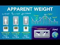 Apparent Weight Normal Force and Scales in an Elevator Physics - Forces Newton s Laws