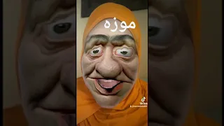        دندنها