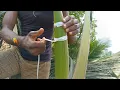 Download Lagu கள்ளு, பதநீர் எடுக்க தென்னம்பாளையை கட்டுவது எப்படி |Building coconut husk