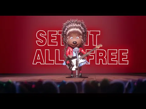 Download MP3 Sing | Set It All Free Song | Sing